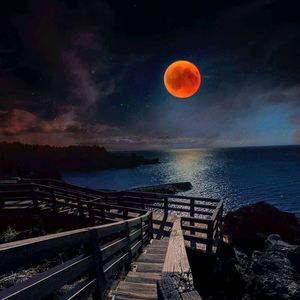 Meet your Posher, Vickie